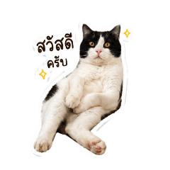 woonwai_20260501134906