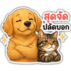 My cat_20260501135003