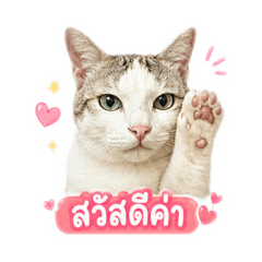 I dear sticker_20260501135529