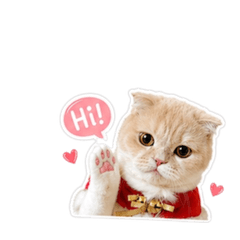 Olaf_20260501135648