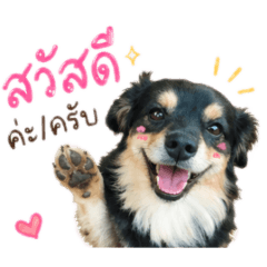 rawiwan_20260501135850