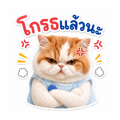 Aunpung meow_20260501140528