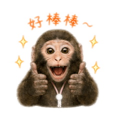 鳳梨的可愛暴擊