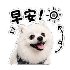 小店長滴滴