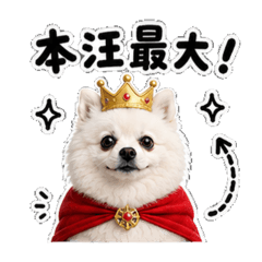 小店長滴滴II