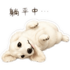 奶油臘腸Bella Tsai