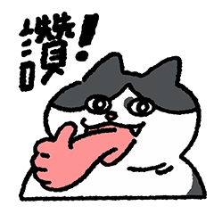 我家奇奇：日常實用篇