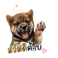 gokiiii