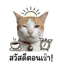 PUFFY_20260501142703