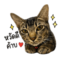 So cute Studio_20260501142830
