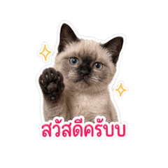 Rung_20260501143444