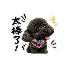 黑賓Q妮-01