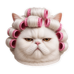 Grumpy White Meow