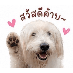 OHM_20260501144246