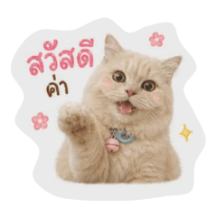 wut_20260501144500