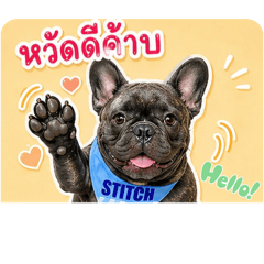 Buk_Stitch_20260501144706