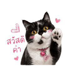maijummeme31_20260501145000