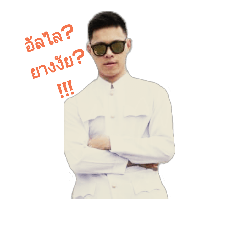 Best Naja