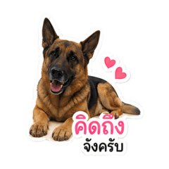 Singhto cp