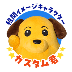 Custom-kun