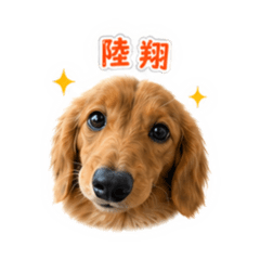 lui_20260606001607