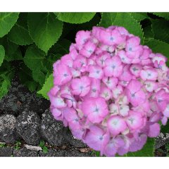 Moritahirofumi_20260606105001