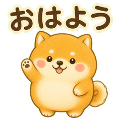 圓滾滾的小柴犬波可丸的每日語錄
