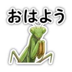 rinko_20260606094758