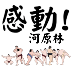 Kawarabayashi Sumo largefont