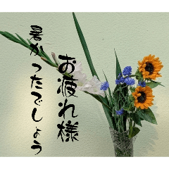 tanakaharumi_20260619072402