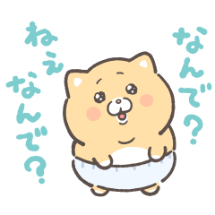 Crying kitten Ki-chan 2