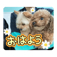 suzuka_20260619004134