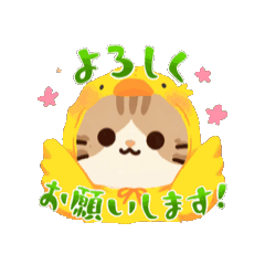 cat_20260619091950