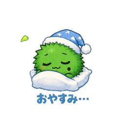 MASAYA_20260606112746