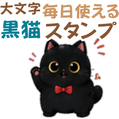 Everyday Black Cat Greetings 40