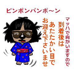 Lucky Zashiki Dog