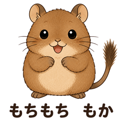 Mochi-mochi Degu "Moka"