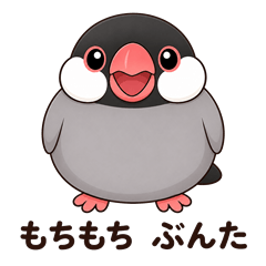 Mochi-mochi Java Sparrow "Bunta"