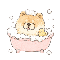 Chow Chow Dog Sticker2