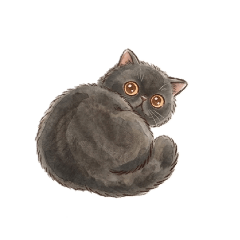 mameko_20260604235318