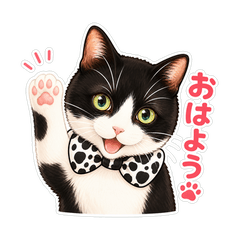 Little Gentleman Cat