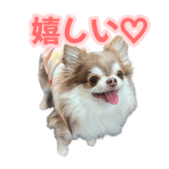 Risa_20260614153021