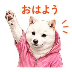 Everyday White Shiba Hoodie