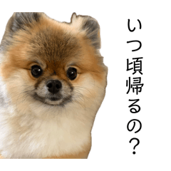 miho_20260611163330