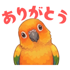 Sun Conure Stickers(1)