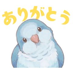 Quaker Parrot [Blue] Stickers