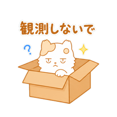 Deadpan White Cat Quantum Box