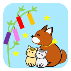 犬と子猫たち
