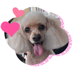 Bon_20260617100341