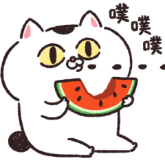 Cat sticker too free8 summer(TW)